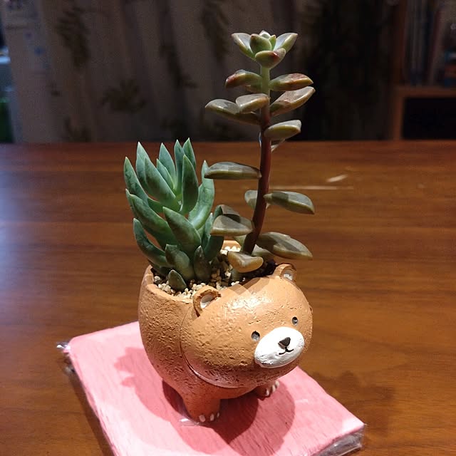 tomo5さんの実例写真