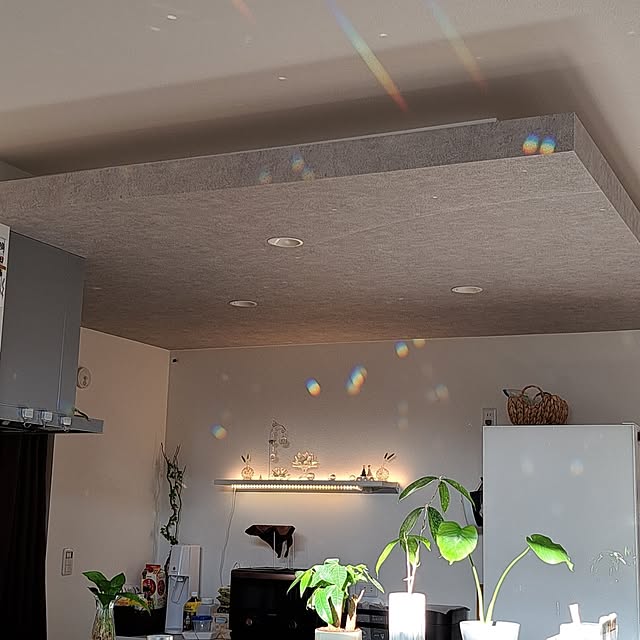 kiyomiさんの部屋