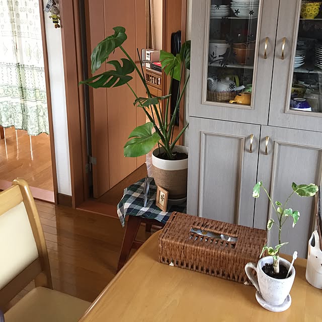 picoさんの実例写真