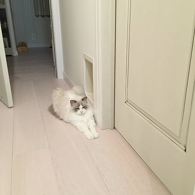 yuchiさんの実例写真