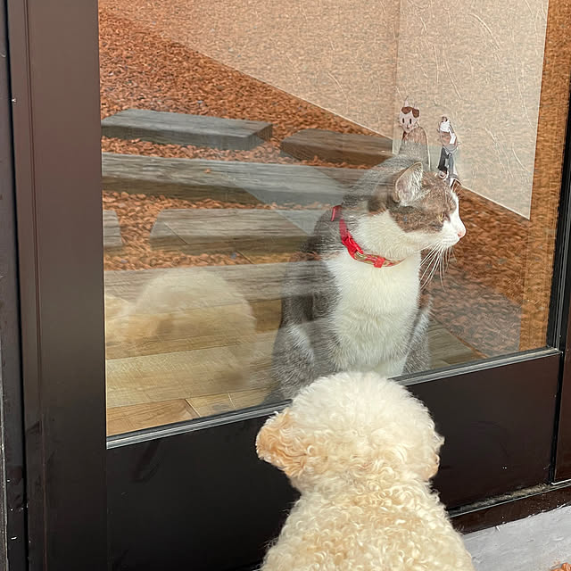 nekosamaさんの部屋