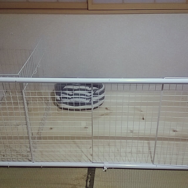 子犬/白黒/DIY/100均/部屋全体のインテリア実例 - 2018-05-17 09:22:20