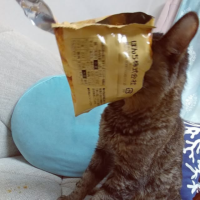 kittenblueさんの実例写真