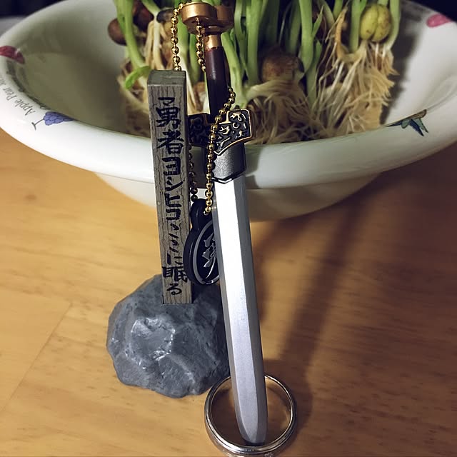 k_dinoさんの実例写真