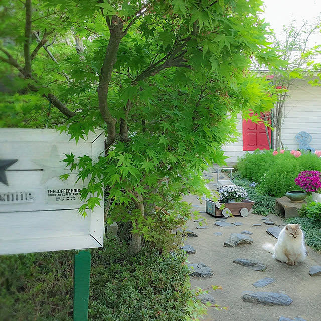 marrymisuzuさんの実例写真