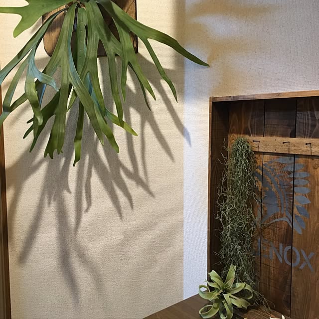 runrun9.1さんの実例写真