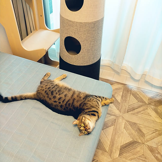 canekoさんの実例写真