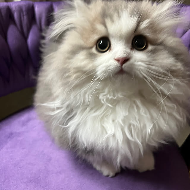 AYUKOさんの部屋