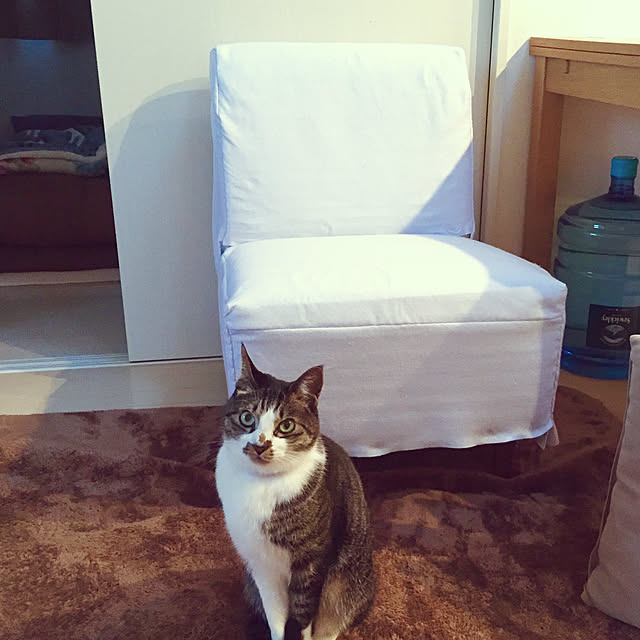 JUENさんの実例写真