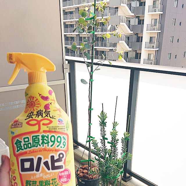 maikeru.3384さんの実例写真