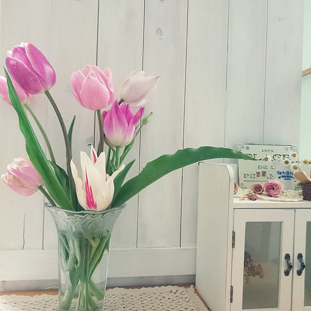 miho.okuさんの実例写真