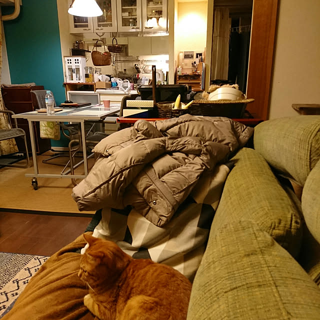 okyosan101さんの実例写真