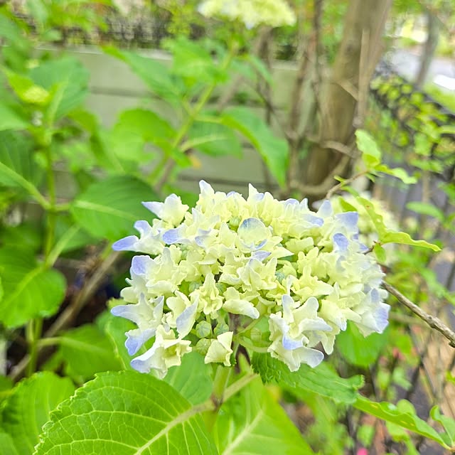 min_nimさんの部屋