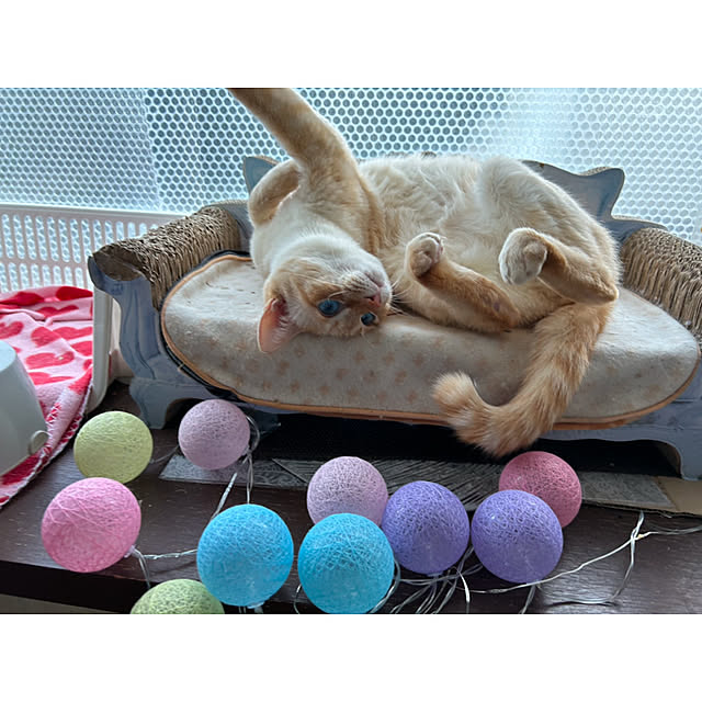 ikunyanさんの部屋