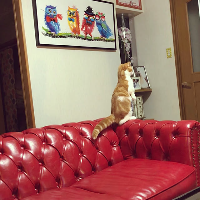 arimanaさんの実例写真
