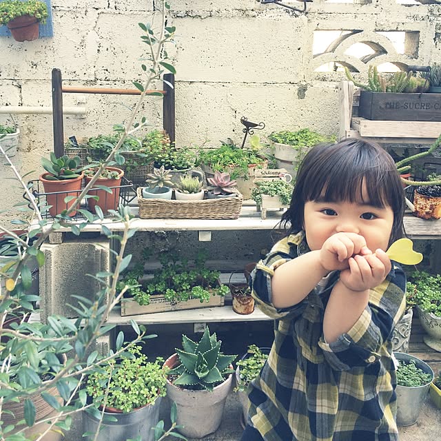coraruさんの実例写真