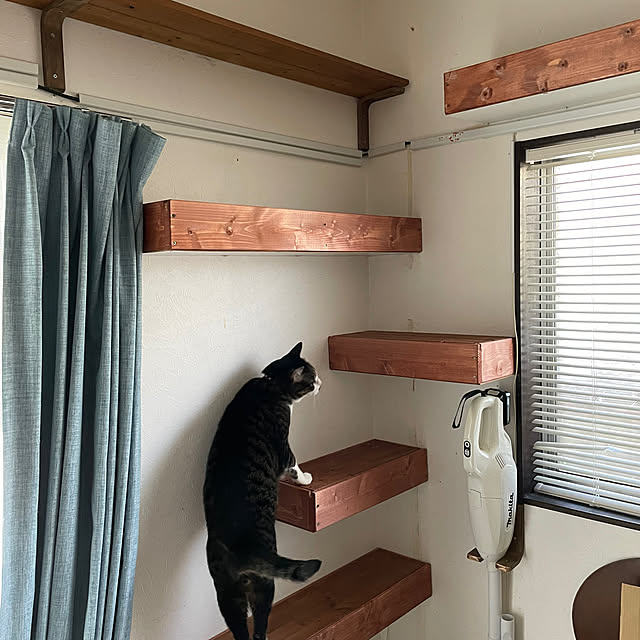 coolcats0528さんの実例写真