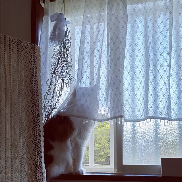 +CHIHARU+さんの実例写真