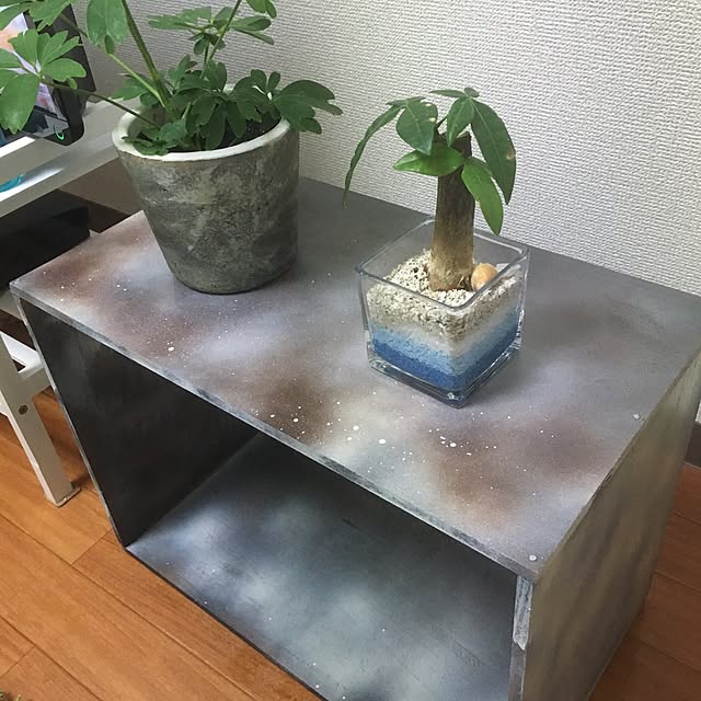 camel0720さんの実例写真