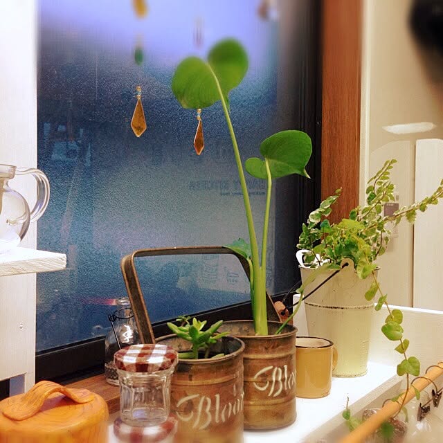 newさんの実例写真