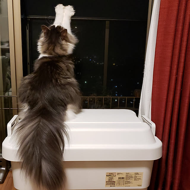 mofさんの実例写真