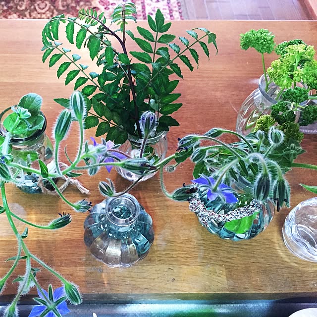 キッチン/観葉植物/雑貨/100均/一人暮らし...などのインテリア実例 - 2017-05-28 09:01:30