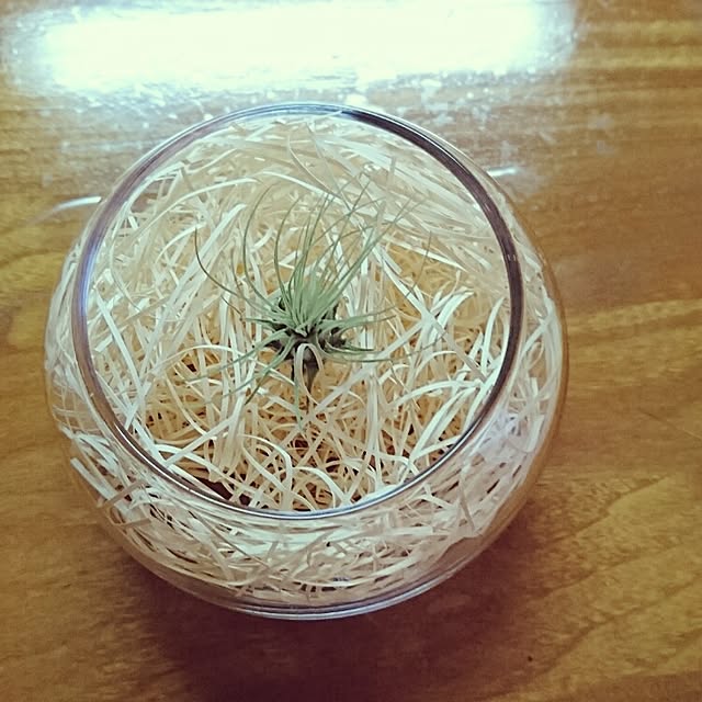 tokouさんの実例写真