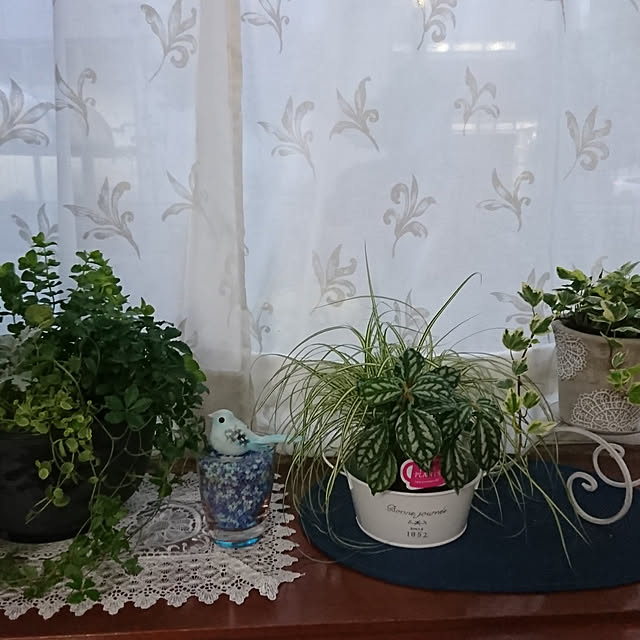部屋全体のインテリア実例 - 2021-03-21 17:27:51