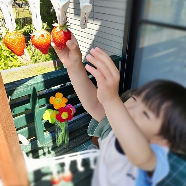 michiさんの実例写真
