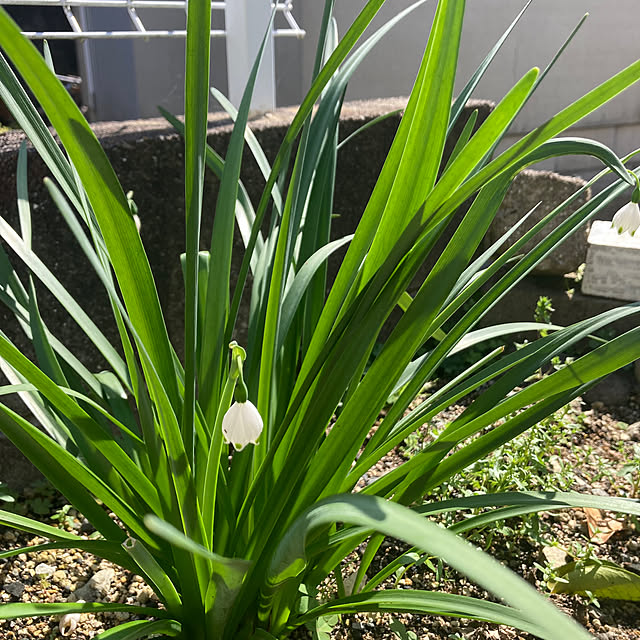 kazu-cafeさんの部屋