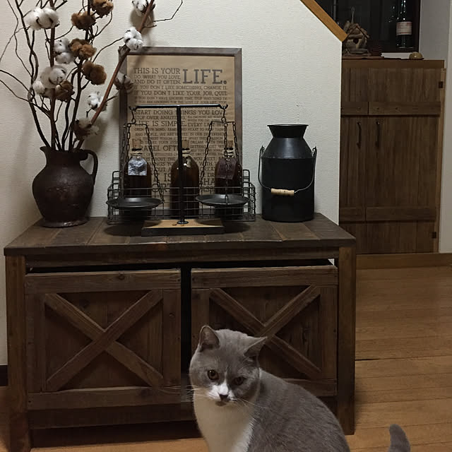charboさんの実例写真