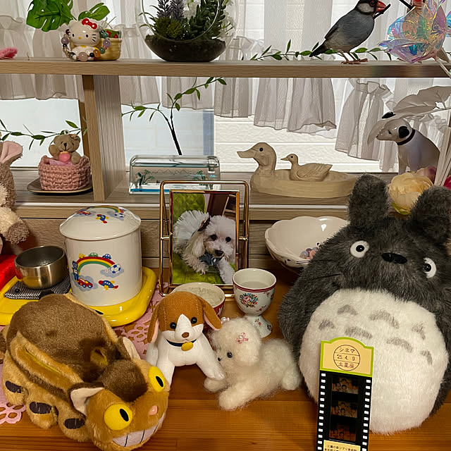 kakoさんの部屋