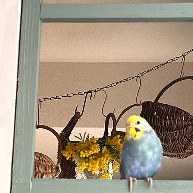 Atsukoさんの部屋