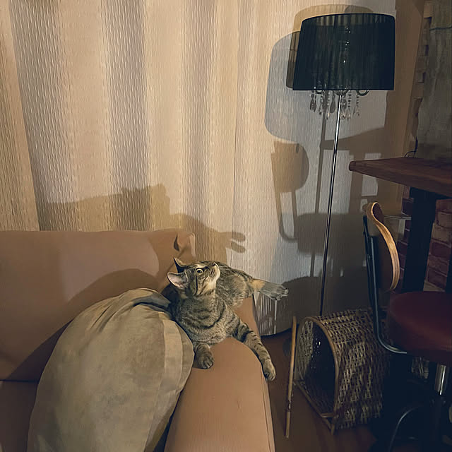 Mさんの実例写真