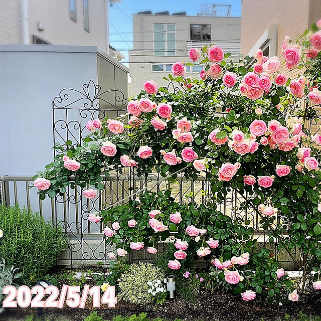 kaoruさんの実例写真