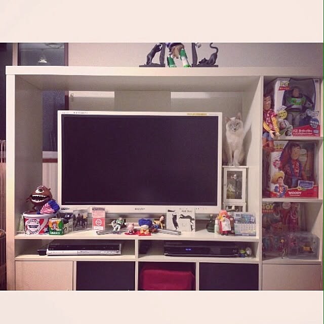 monkeymajimajikさんの実例写真