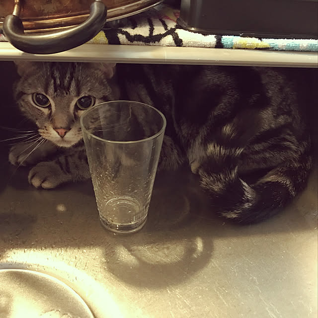 KotarouKunさんの実例写真