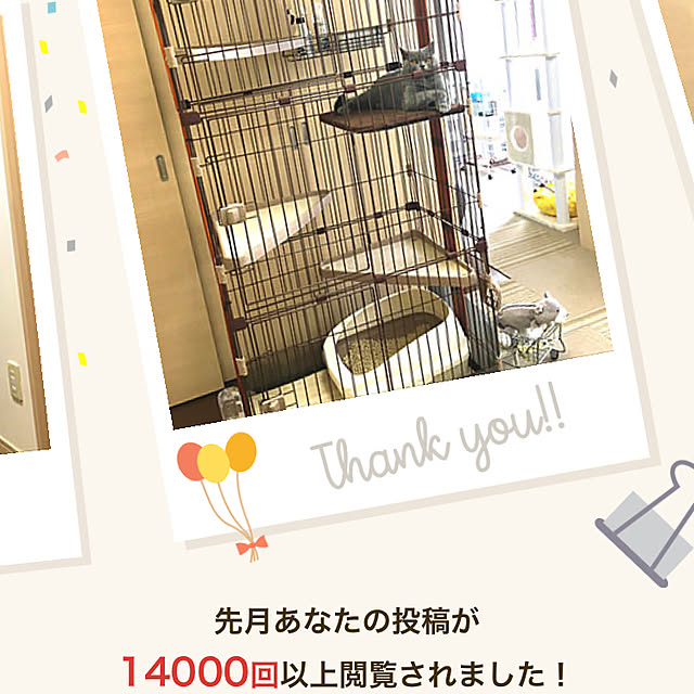 kittyさんの実例写真