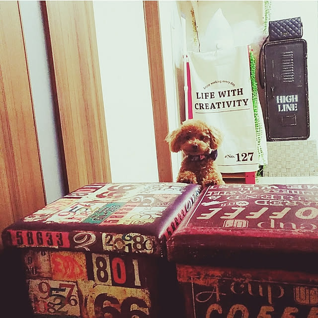 Samさんの実例写真
