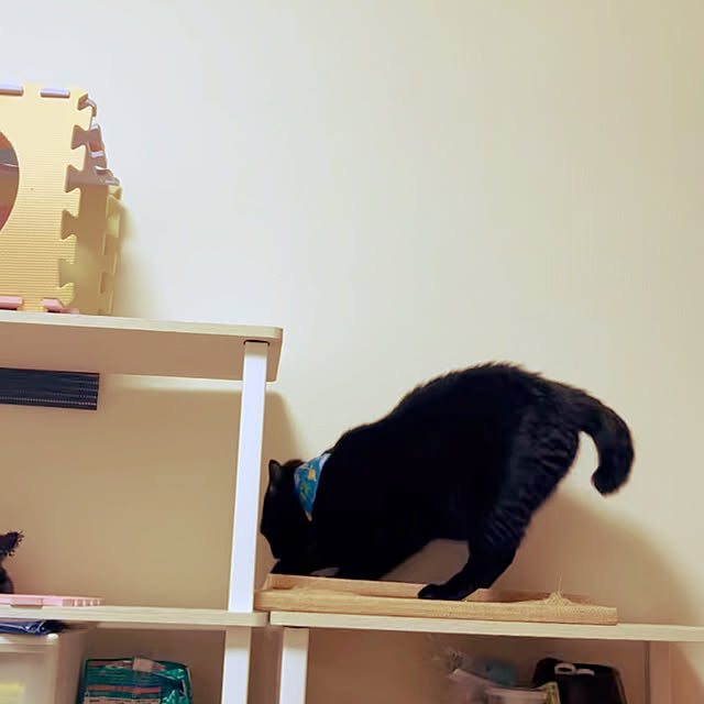 nyaさんの部屋