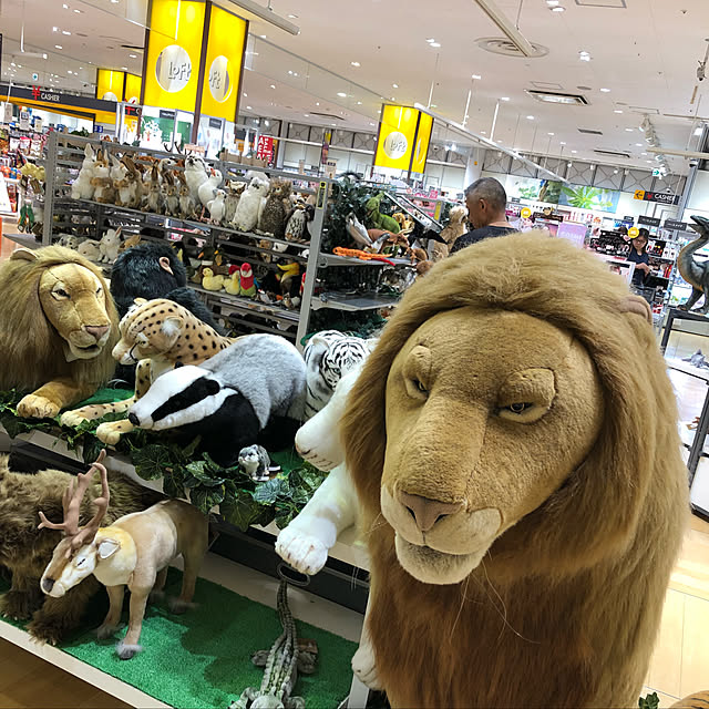 kanaさんの実例写真