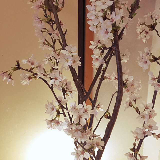 Tenさんの実例写真