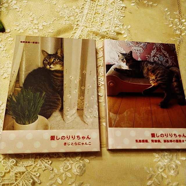 lilyさんの実例写真