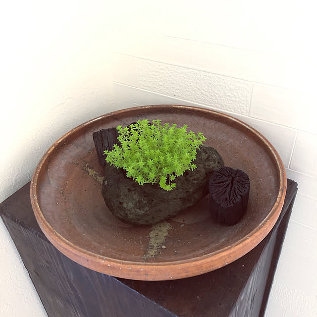 marutanさんの実例写真