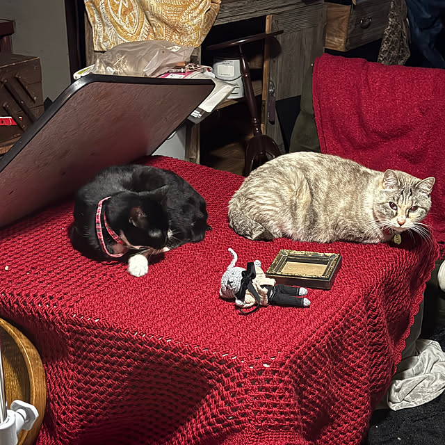 pandasさんの部屋