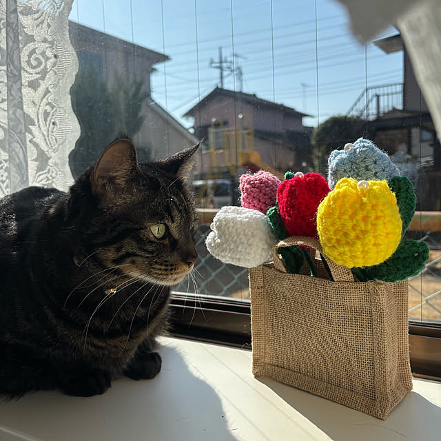 momocchiさんの部屋