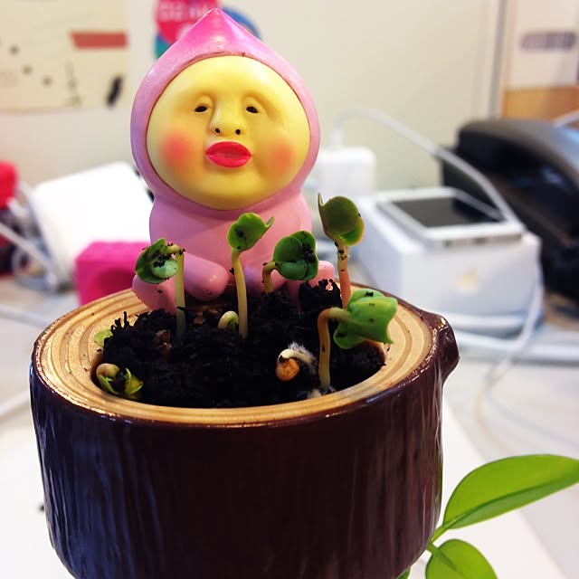 Francieさんの実例写真