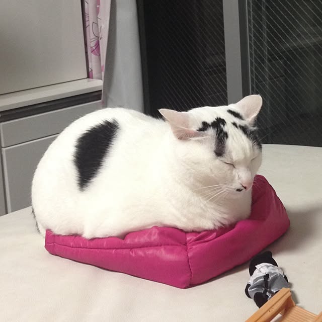 muraさんの実例写真