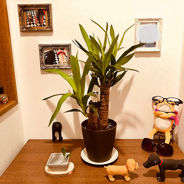 pink.panther.1022さんの実例写真