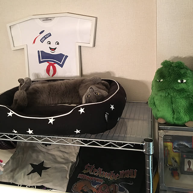 ikettenさんの実例写真